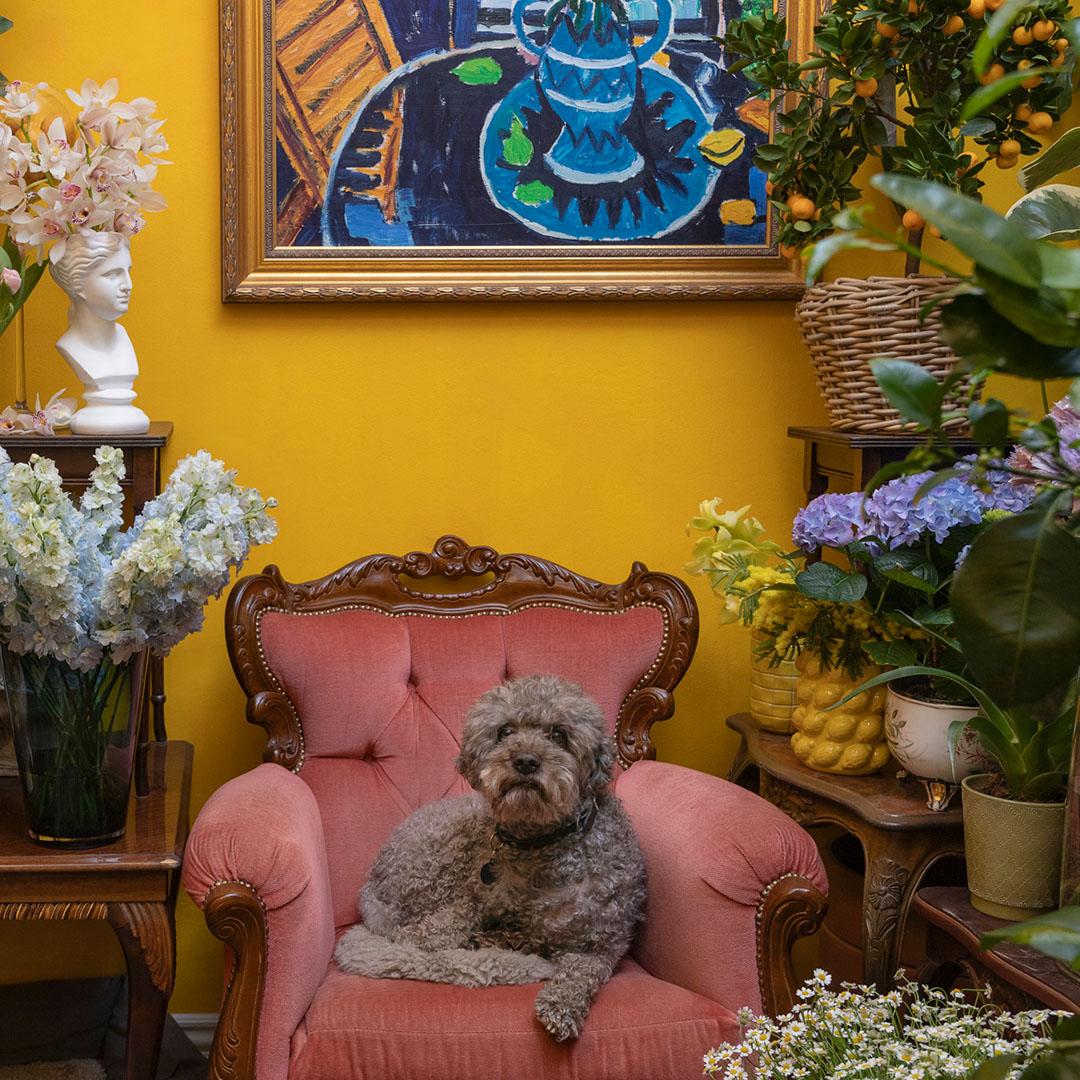 Sir Winston